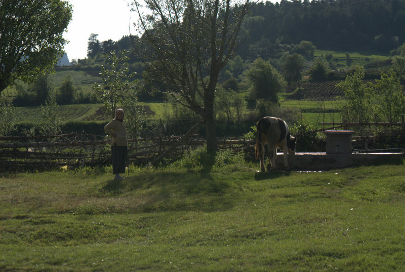 Ah ke�ke bizim de bir ine�imiz olsa.....