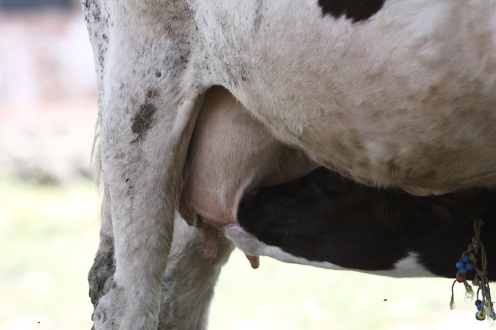 e289