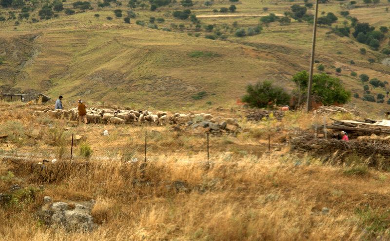 Erken kalkan yol al�r