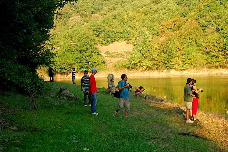 viz�rden