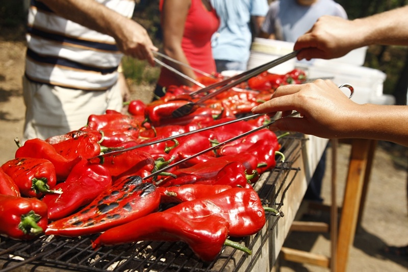 mangal keyfi