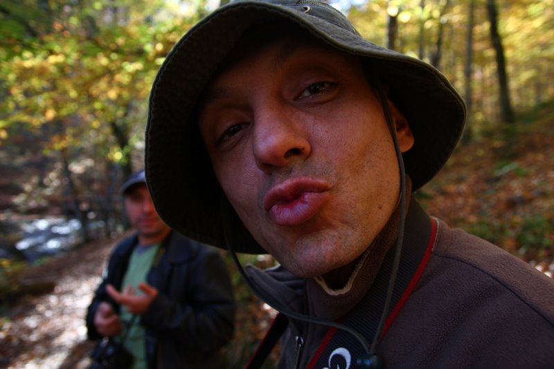28