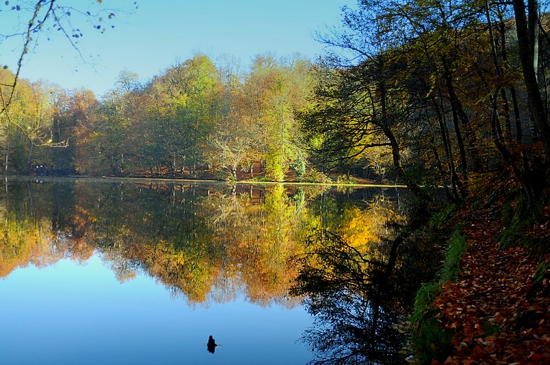 sevenlakes