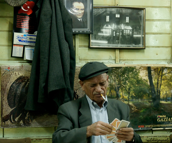 Tahmis Potreleri