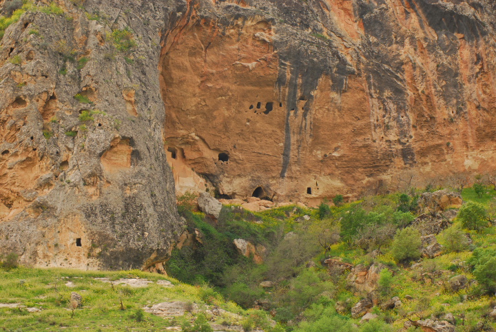 GAP 185
