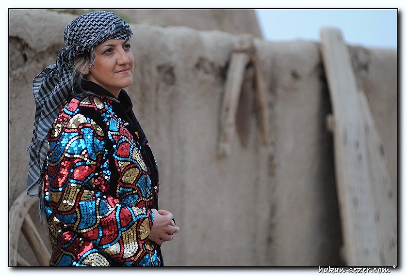 hz 0079