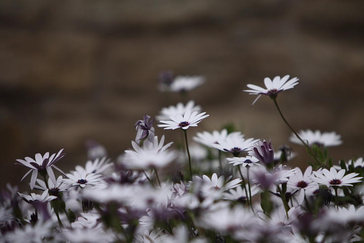 0011