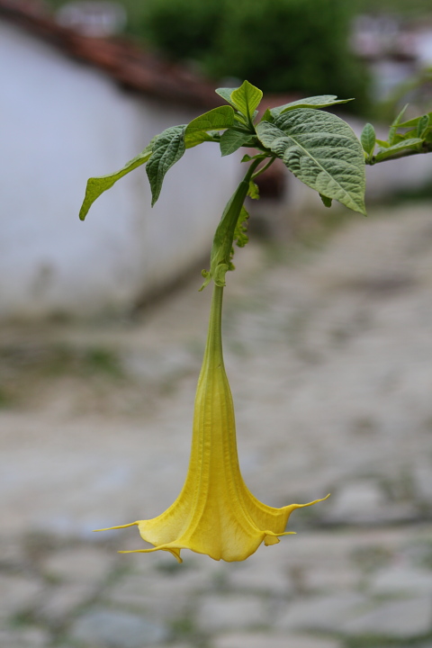 m 0014
