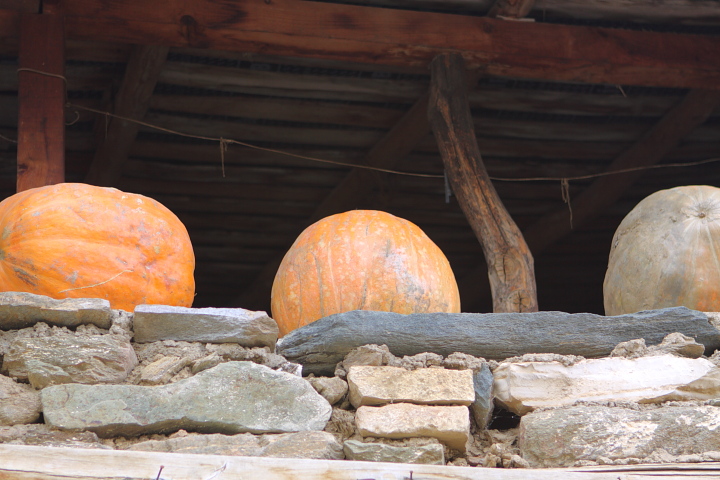 m 0016