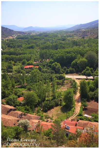 tarakli1