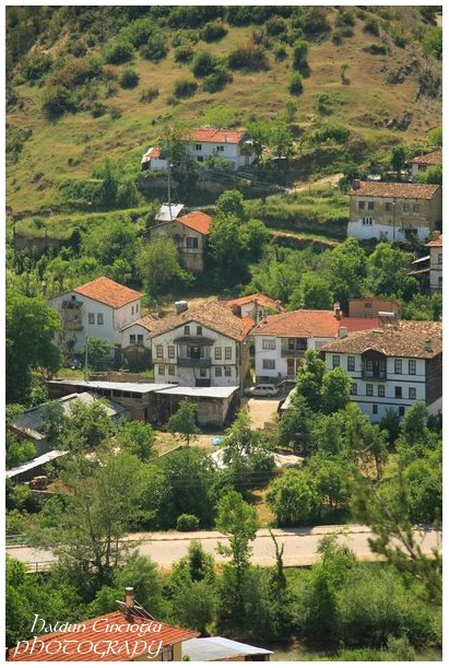 tarakli2
