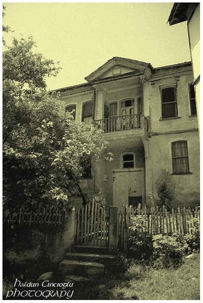 tarakli4