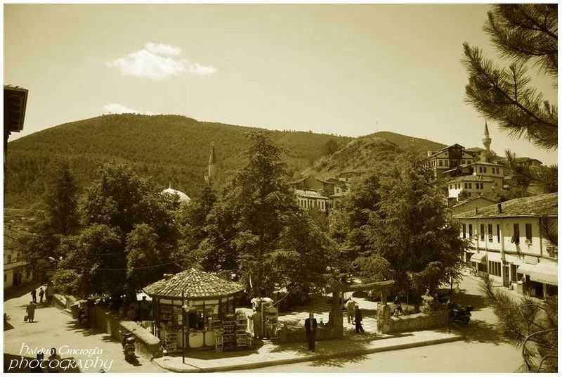 tarakli6