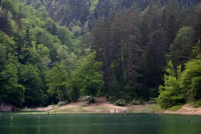 gezi_09