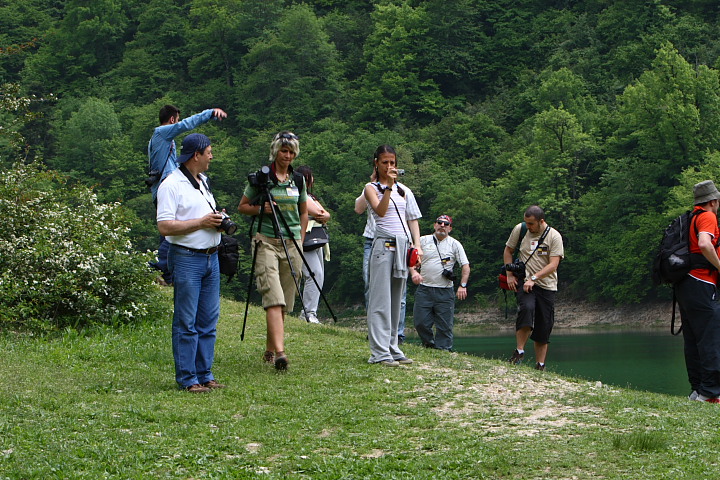 DPP 0035