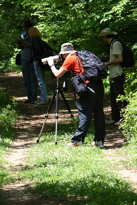 DPP 0163