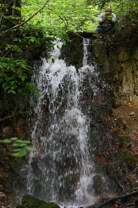 DPP 0220