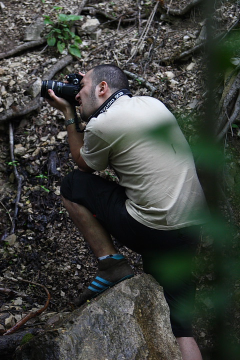 DPP 0239
