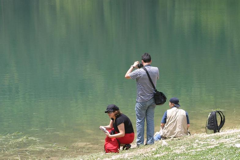 Gezi_8