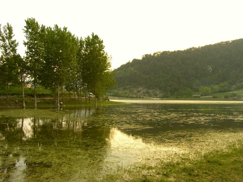 �ubuk G�l�