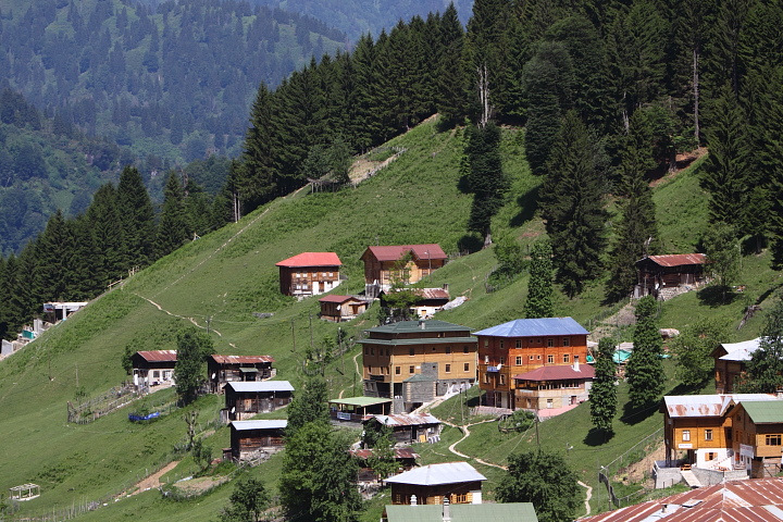 IMG 0689