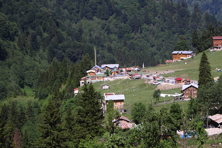 IMG 0690