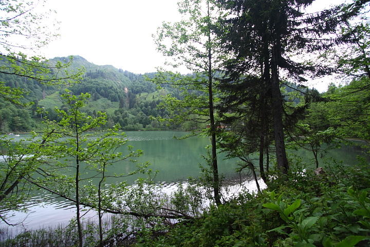 IMG 0739