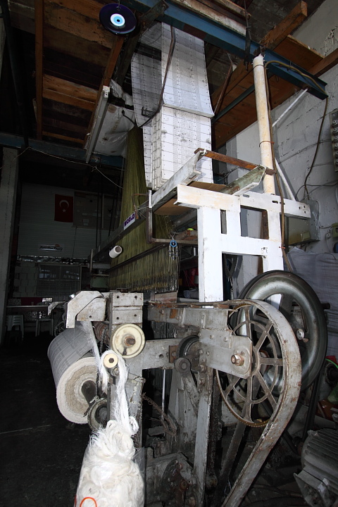 IMG 0813