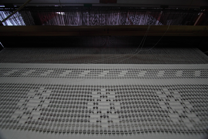 IMG 0815