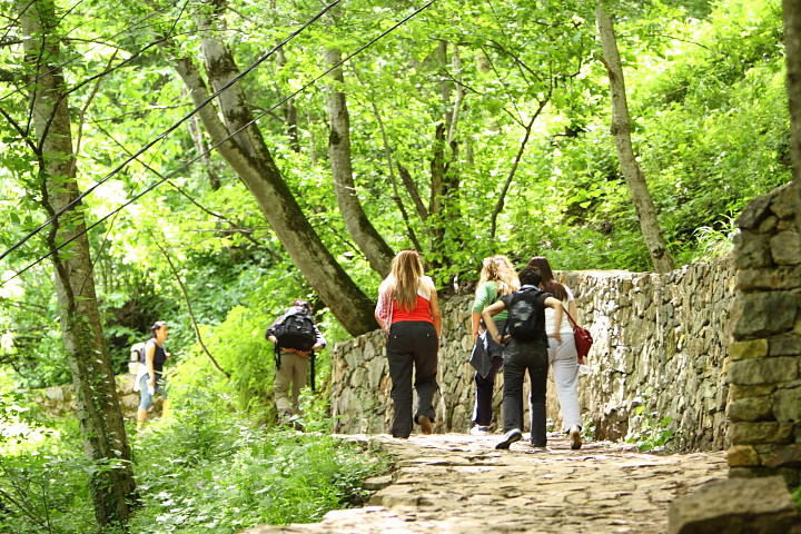 IMG 0822