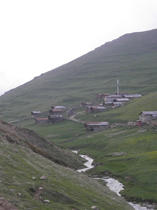 mor 334