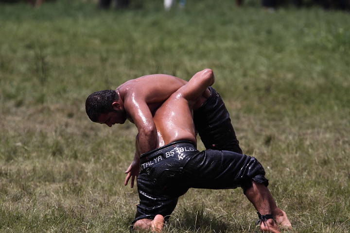 0081