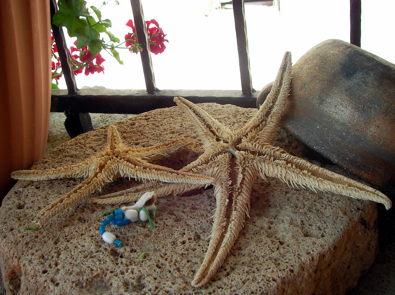sa 07
