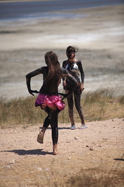 mb 116