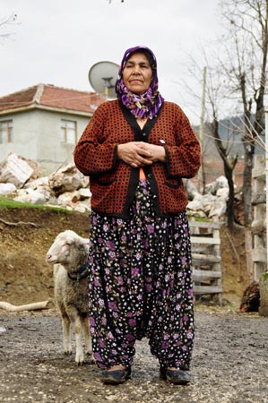 tarakli goynuk gezisi
