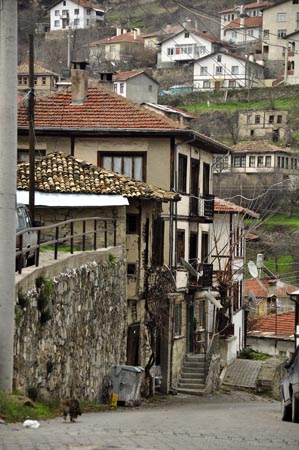 tarakli goynuk gezisi