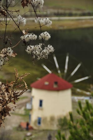tarakli goynuk gezisi