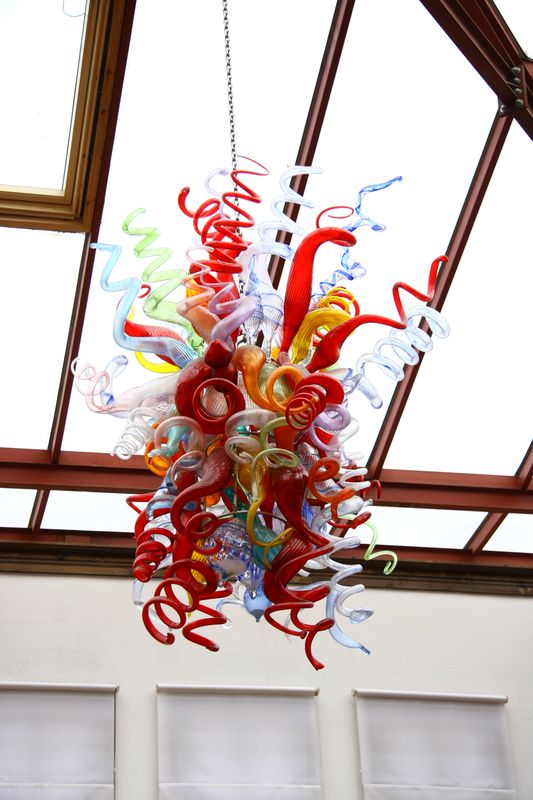 Rengarenk