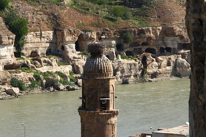 FG 1011