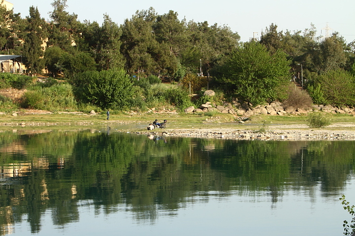 FG 1656