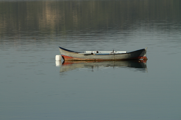 FG 1664