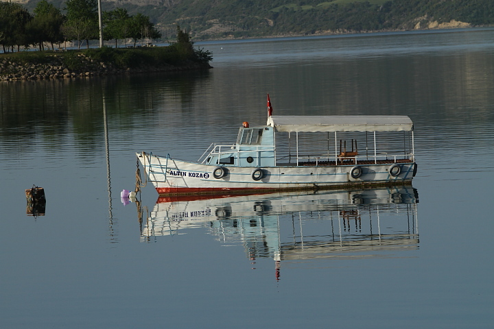 FG 1678