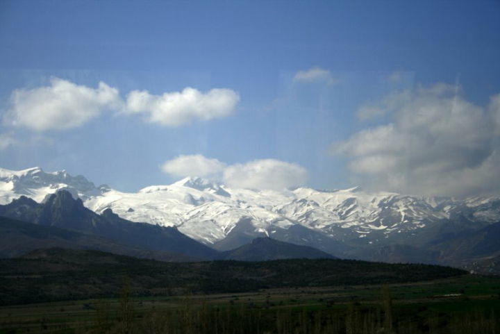 IMG 8008
