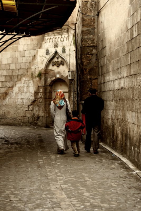 IMG 8253