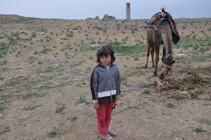 b 0165