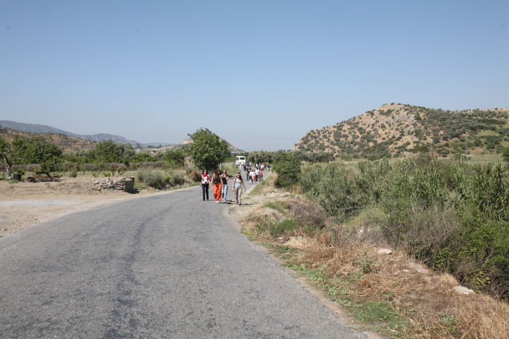 IMG 0353