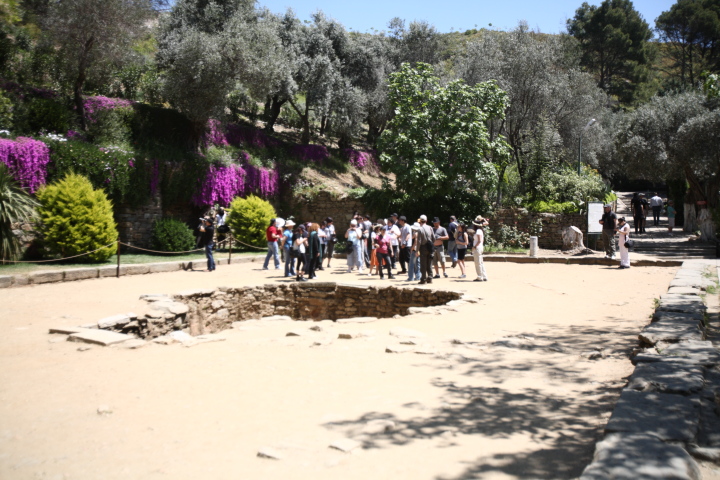 IMG 0385