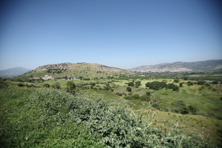 IMG 0519