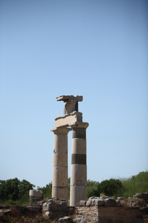 IMG 0537