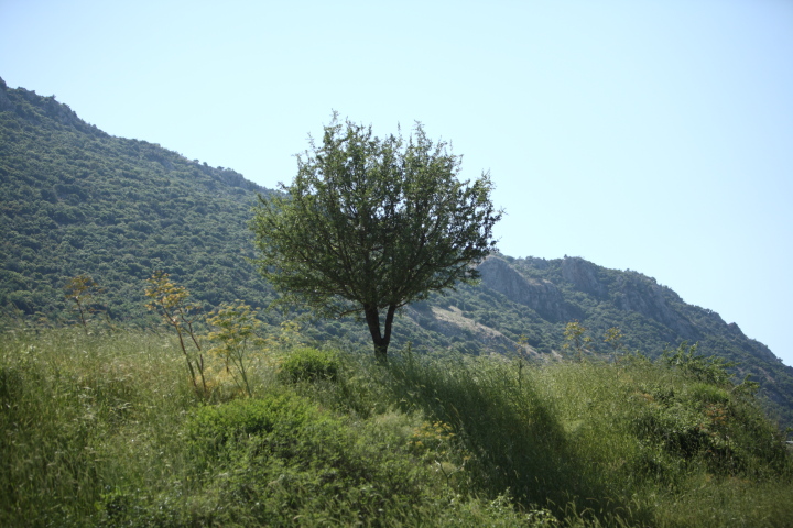 IMG 0566